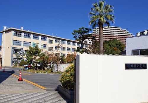 小学校　福岡市立姪浜小学校（小学校）まで731m