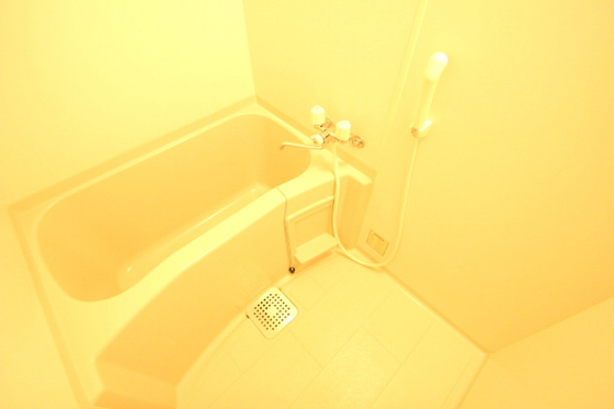 バス・シャワールーム　※別部屋の写真です