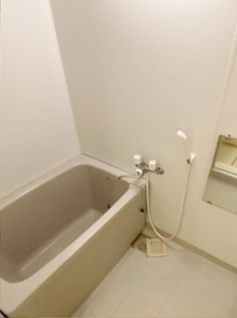 バス・シャワールーム　別部屋同仕様タイプ