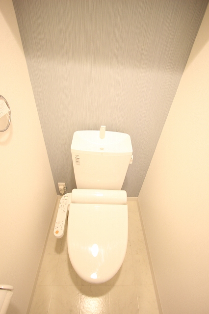 トイレ　同物件別号室のものです。