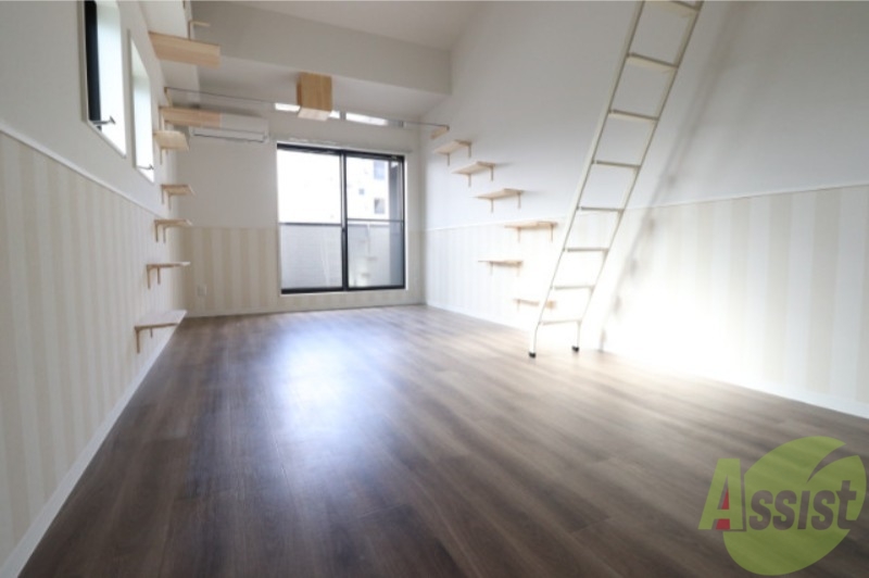 居室・リビング　猫が喜びそうな空間