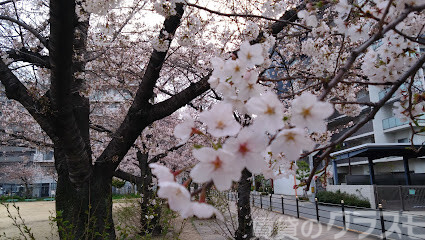 公園　千舟公園（公園）まで350m