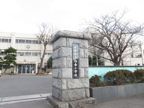 小学校　市原市立白金小学校（小学校）まで1029m