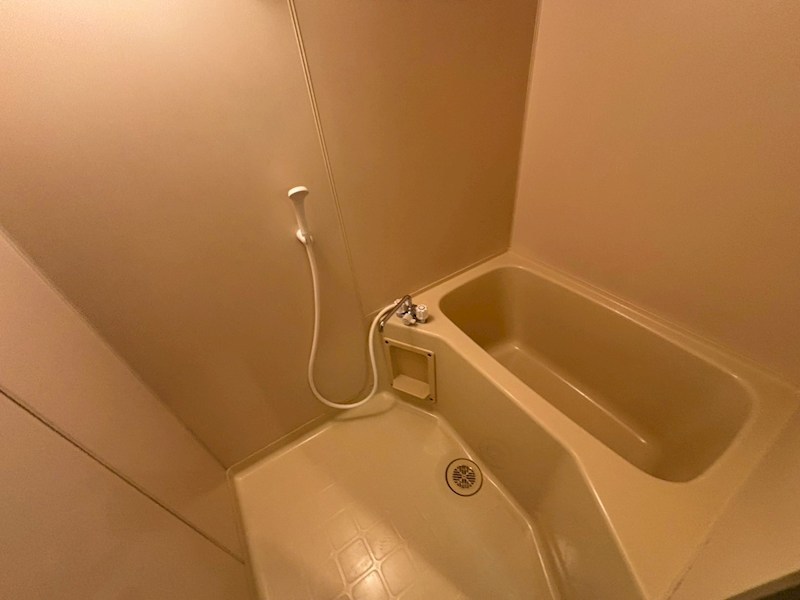 バス・シャワールーム　※別部屋写真参照