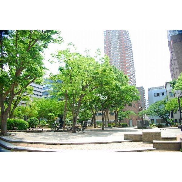 公園　高津公園（公園）まで515m