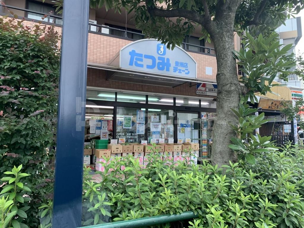 スーパー　たつみチェーン豊洲店（スーパー）まで100m