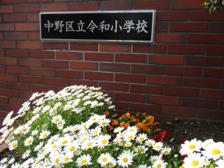 小学校　中野区立令和小学校（小学校）まで285m