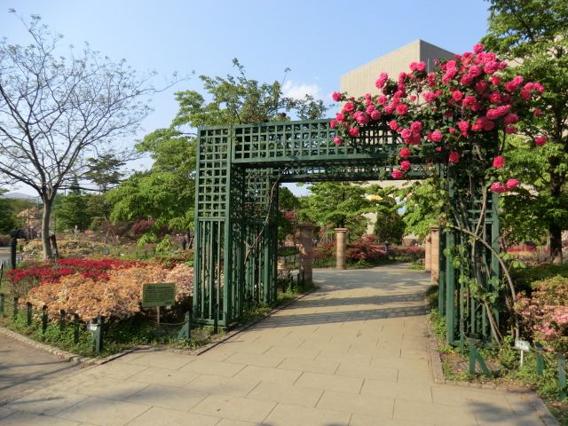 公園　つつじ公園（公園）まで480m