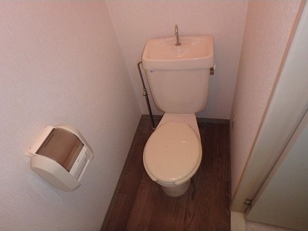 コットンハウスIのトイレ写真