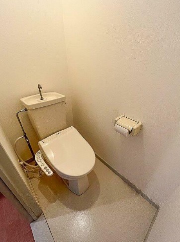 ロイヤル二ノ橋ビルのトイレ写真