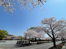 大学・短大　茨城県立医療大学（大学・短大）まで1542m