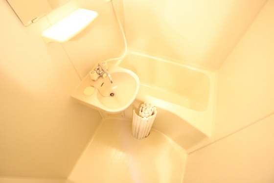 バス・シャワールーム　※別部屋の写真です