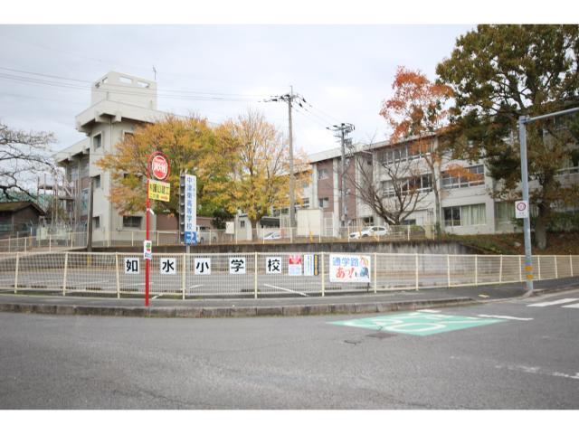 小学校　中津市立如水小学校（小学校）まで531m