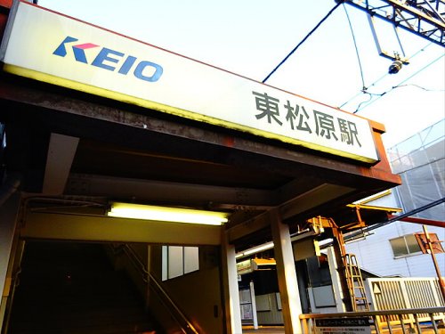 その他　井の頭線：東松原駅（その他）まで1172m