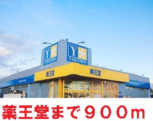 ドラックストア　薬王堂（ドラッグストア）まで900m