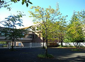 高校・高専　東京都立大山高等学校（高校・高専）まで439m