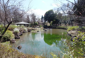 【ハイツ柳沢の公園】