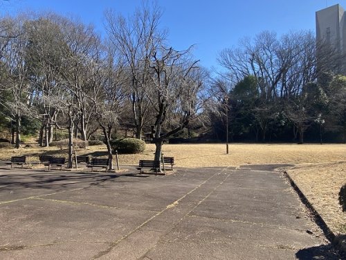 【ハイツ柳沢の公園】