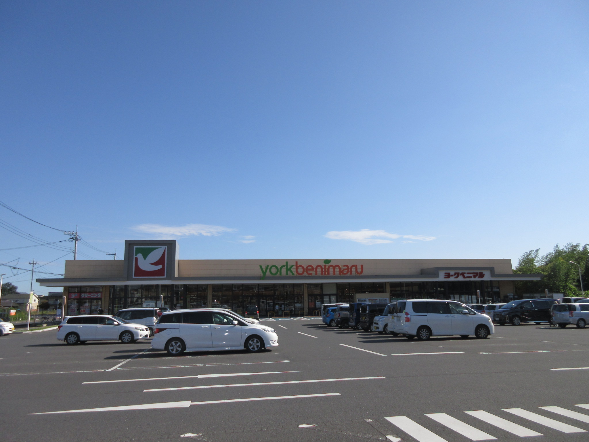 スーパー　ヨークベニマル友部東平店（スーパー）まで1554m