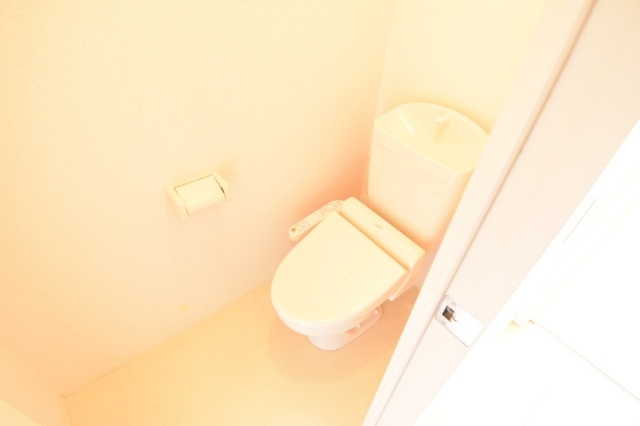 トイレ　同物件別部屋の写真