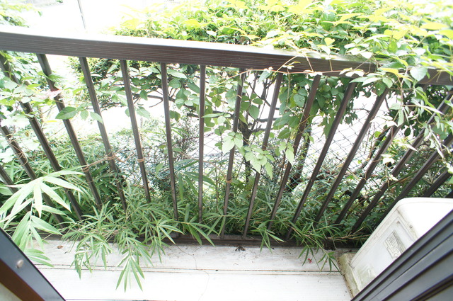 バルコニー　日当たり良好なバルコニーあります♪