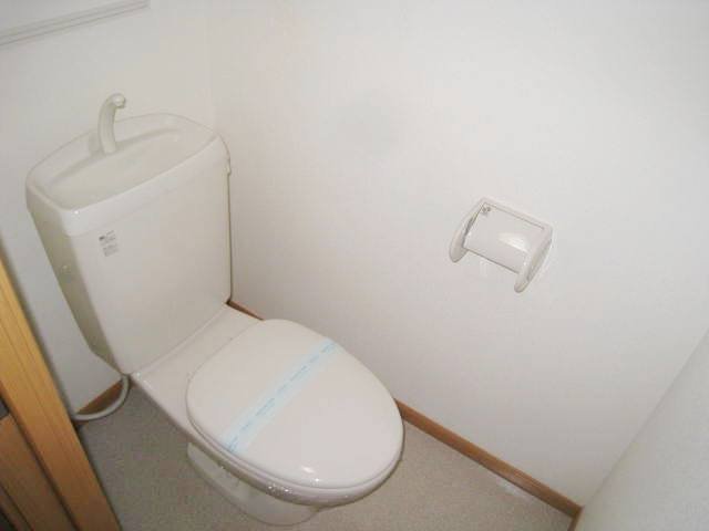 トイレ　同物件別号室の写真です。