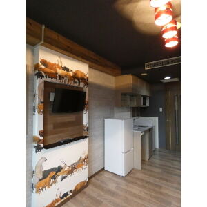 その他部屋・スペース　★不要な家具家電は撤去も可能です★