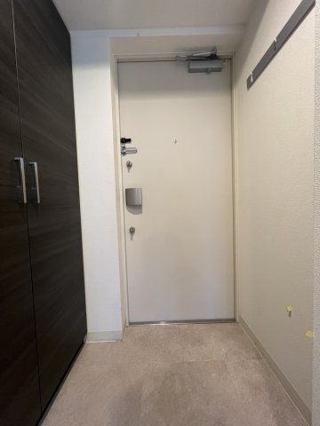 玄関　エステムコート難波Vブロード　玄関