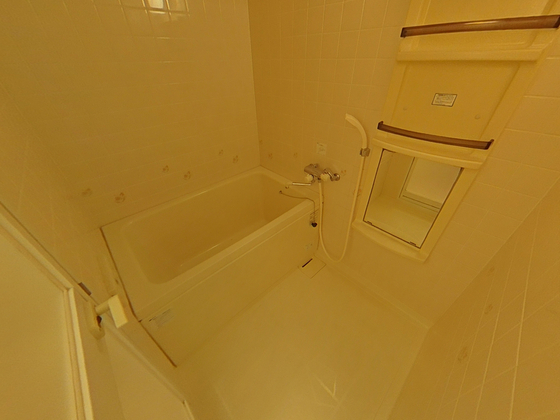 バス・シャワールーム　※別部屋の写真です