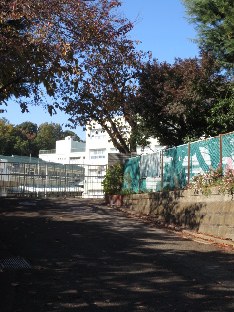 小学校　横浜市立長津田小学校（小学校）まで711m