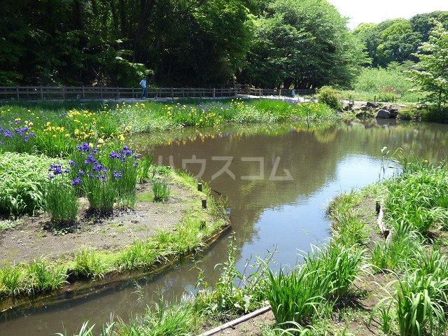 公園　泉の森（公園）まで855m