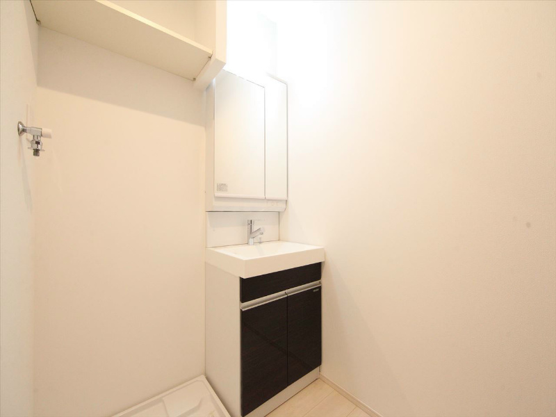 洗面設備　脱衣所　独立洗面台（シャンプードレッサー）　同仕様写真