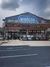ドラックストア　ウエルシア（ドラッグストア）まで100m