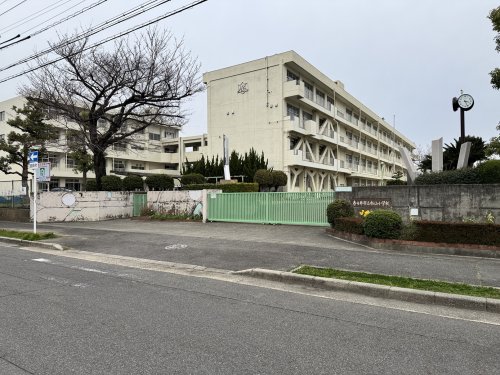 小学校　松山小学校（小学校）まで379m
