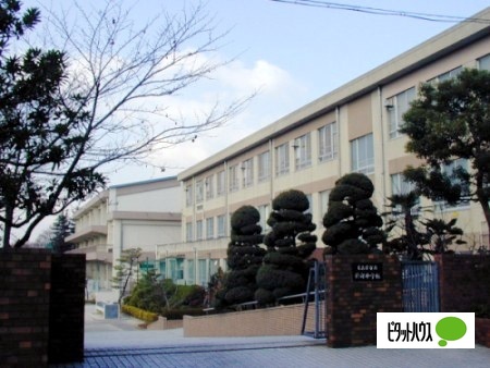 中学校　名古屋市立新郊中学校（中学校）まで983m