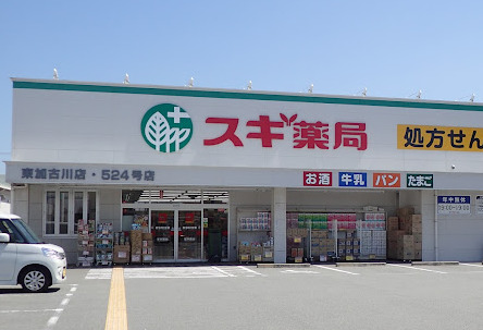 ドラックストア　スギ薬局 東加古川店（ドラッグストア）まで623m