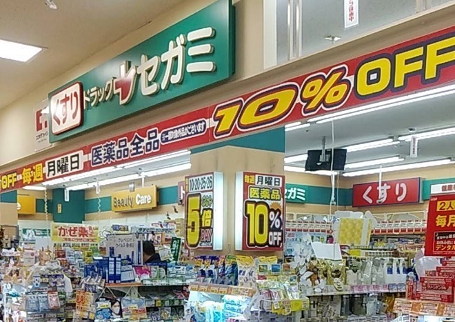 ドラックストア　ドラッグセガミ 琵琶店（ドラッグストア）まで310m