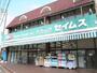 ドラックストア　ドラッグセイムス 姉崎店（ドラッグストア）まで544m