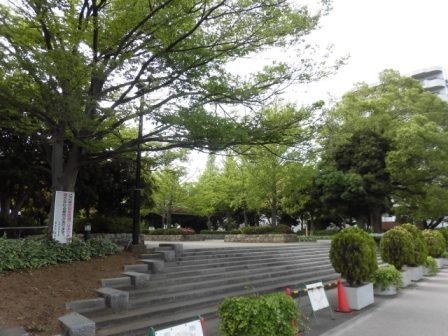 公園　ファミリースポーツ広場（公園）まで240m
