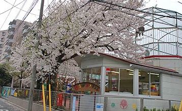 幼稚園・保育園　わらび幼稚園（幼稚園・保育園）まで757m