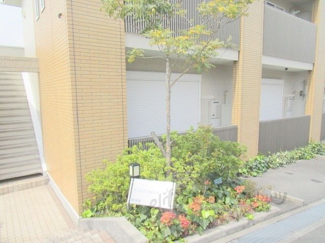 庭　植栽