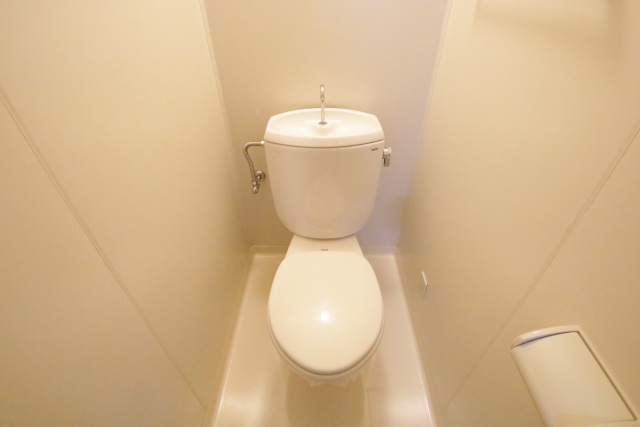 トイレ　※他のお部屋の参考写真です