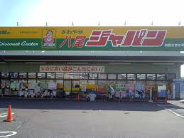 ショッピングセンター　ジャパン八尾木ノ本店（ショッピングセンター）まで882m