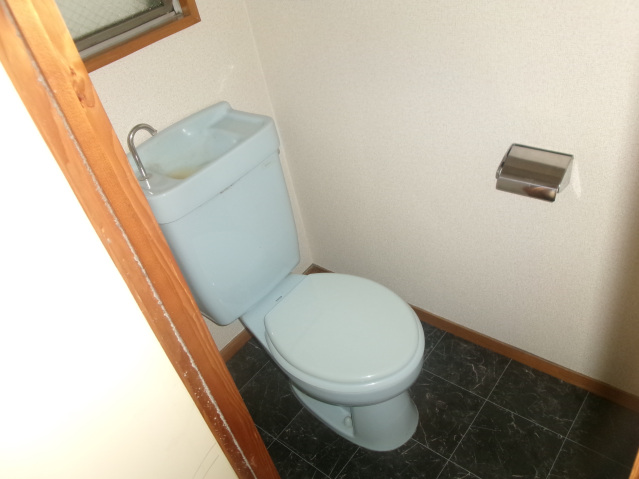 ヴィレッジ柿の木通りのトイレ写真