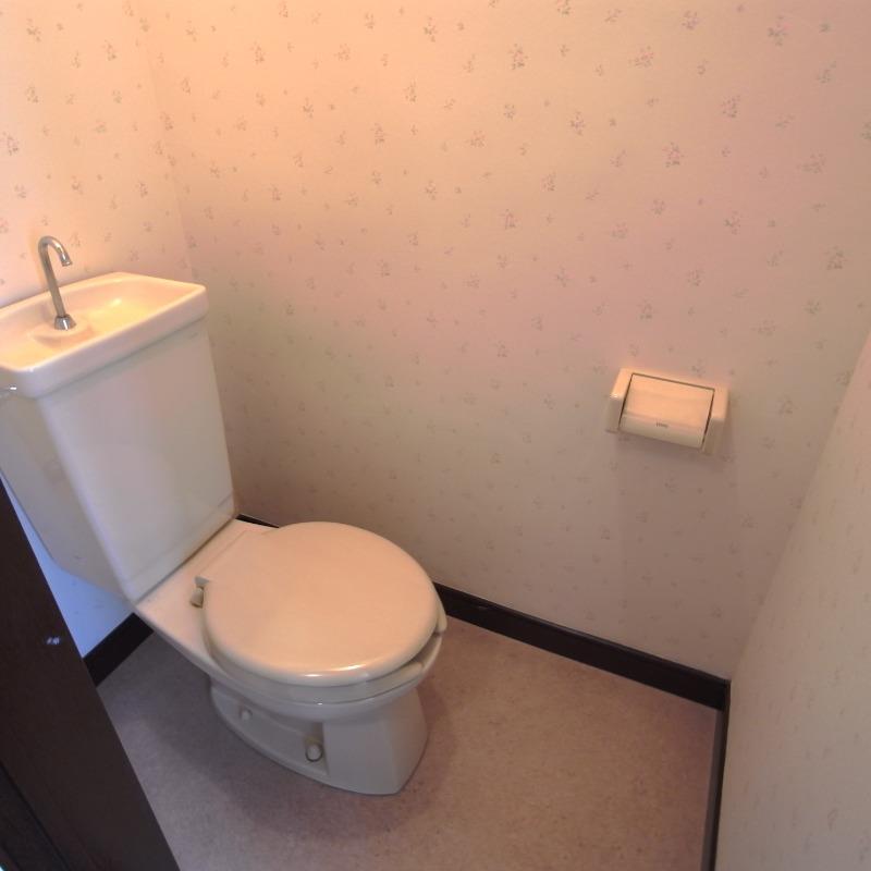 ヴィラエースのトイレ写真