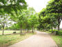 公園　美薗中央公園（公園）まで1426m