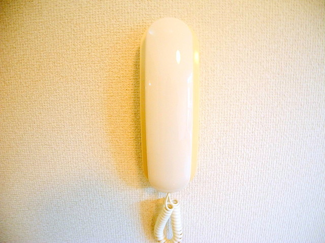 セキュリティ　※同間取りの別のお部屋の画像です※現況を優先します