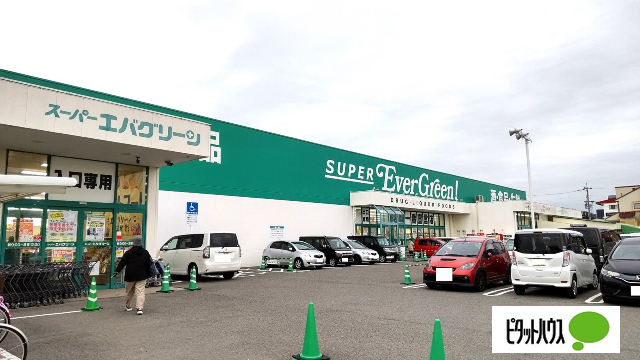 ドラックストア　スーパーエバグリーン宮前店（ドラッグストア）まで228m