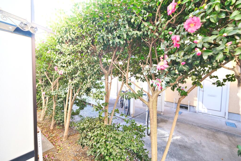眺望　物干し場