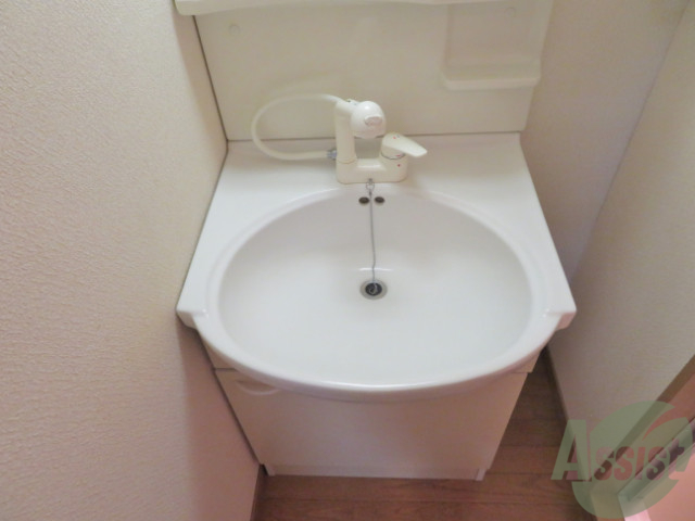 洗面設備　シャワー付きなので髪の毛のセットここで出来ます。